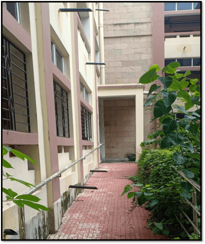 image005-2