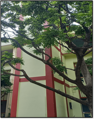 image009-2
